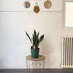 Bed & Blessing / Casa Borgo